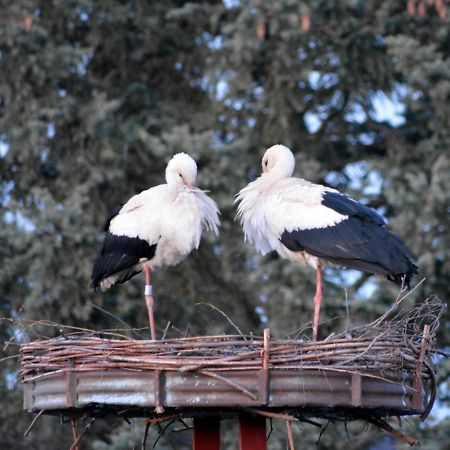 Ferienwohnung Am Storchennest In Burkau Εξωτερικό φωτογραφία